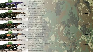 Evolution of Kalashnikov AK Assault Rifle AK47 AK200 [upl. by Reagan]