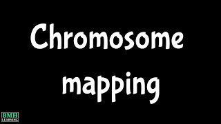 Chromosome Mapping  Gene Mapping [upl. by Shaddock573]