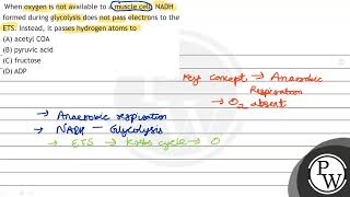 When oxygen is not available to a muscle cell NADH formed during g [upl. by Thorn]