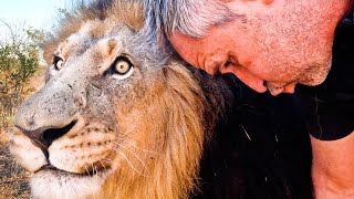 LION REUNION  Happy Encounter with Kevin Richardson  The Lion Whisperer [upl. by Wolliw]