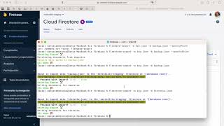 Firebase  Firestore  Importar y Exportar la base de datos [upl. by Ahcsat875]
