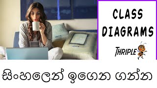 Class Diagrams  UML  Sinhala [upl. by Airolg]