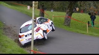 Rallye des Bauges 2024 Sorties amp Mistakes [upl. by Dombrowski677]