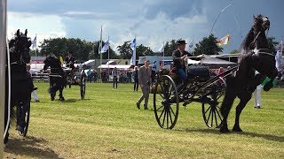 Concours Hippique Drogeham 2017  Sfeerimpressie [upl. by Fremont]