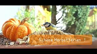 Schöne Herbstferien [upl. by Rosabel]