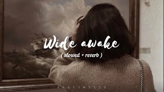 Katy perry Wide awake slowed down  lyrics [upl. by Celestina791]