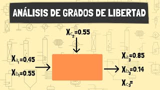 ANÁLISIS DE GRADOS DE LIBERTAD en Balance de materia  LORENA GARCIA [upl. by Ahsahtan]