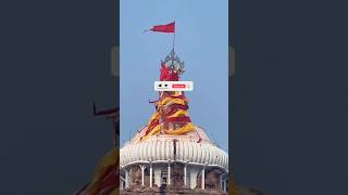 Kalia Bhajan  Jagannath Dham Puri jagannath dillipsenapati4youth jagannathtemple ds4y sorts [upl. by Yllek]