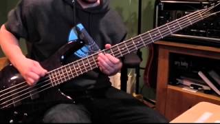 Wyant  Periphery  Froggin Bullfish Bass Cover [upl. by Aekan728]