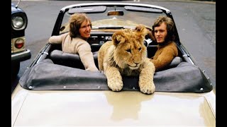 Man who bought pet lion in Harrods and walked it round London dies aged 76 [upl. by Corabelle597]