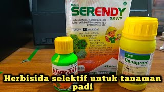 Herbisida selektif untuk tanaman padi 3 produk ini wajib di coba [upl. by Ddarb]