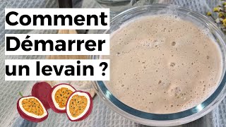 Comment faire un levain aux fruits de la passion [upl. by Marylee]