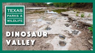 Dinosaur Valley State Park Texas [upl. by Mills274]