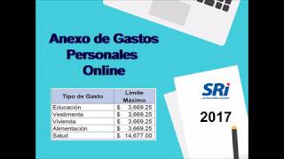 ANEXO DE GASTOS PERSONALES ONLINE 2018 [upl. by Nonnahsal215]