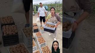 BUAH KIWINYA KOK DI BUANG fruit food satisfying viralvideo dubbing funny shortvideo [upl. by Grewitz]