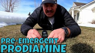 When should I put down Preemergent on the lawn [upl. by Dukey102]