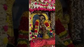 Srirangam sriranganachiyar unjal utsavam day 4 mahalakshmi ranganatha namperumal srirangam devi [upl. by Tirrag]