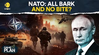 RussiaUkraine war Why Macrons remarks on sending troops sent NATO into a tizzy  WION [upl. by Garzon509]