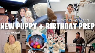 BUSY DAY IN OUR LIFE NEW PUPPYamp BIRTHDAY PREP VLOG [upl. by Adiraf]