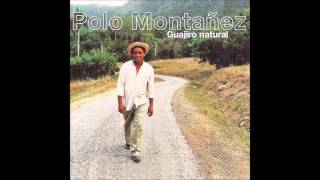 Polo Montañez  Si Fuera Mia [upl. by Eislrahc]