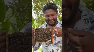 Farm visitingHe loved bees buzzing sound 😁beekeepinglife [upl. by Sokim]