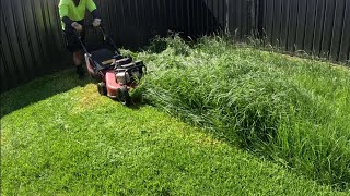 Mowing tall grass perfectly Satisfying [upl. by Robinette894]