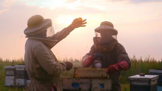 Celebrating Beekeeping Short A Global Story  Argentina [upl. by Annaeel288]