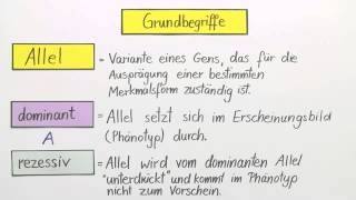 Erbgänge dominantrezessiv intermediär und kodominant  Biologie  Genetik [upl. by Alysa]