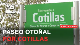 APDC  Un paseo otoñal por Cotillas una de las joyas de la provincia de Albacete [upl. by Moberg]