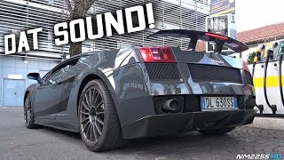 BEST Sounding V10 Lamborghini EVER Made  2008 Lamborghini Gallardo Superleggera [upl. by Norga944]