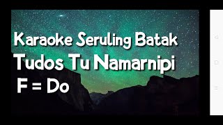 Tudos Tu Namarnipi  Versi karaoke seruling batak kunci FDo [upl. by Ociredef]