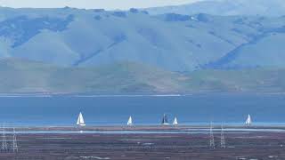 Spinnaker Sailing Class  February 10 2024  San Francisco Bay [upl. by Odlavso]