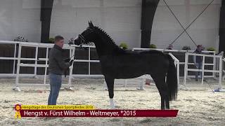 Fürst Wilhelm  Weltmeyer 2015 [upl. by Hillinck339]