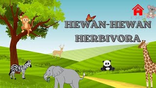 APA ITU HEWAN HERBIVORA BELAJAR MEMBEDAKAN BINATANG GOLONGAN HERBIVORA 🦒 [upl. by Adalbert]