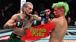 Sugar Sean OMalley Best Knockouts  Highlights  “Soldier” [upl. by O'Gowan22]