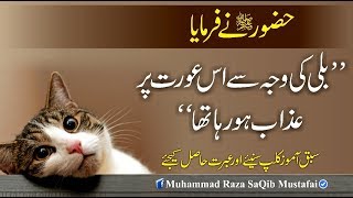 Muhammad Raza SaQib Mustafai  HUZOOR Ne Farmaya Billi Ki Waja Se Is Orat Pr Azaab Ho Raha Tha [upl. by Castora]