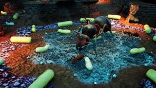 Two Wood Ants VS Two Black Ants Impossible Mode Empires Of The Undergrowth [upl. by Yoc360]