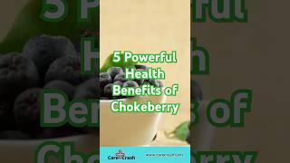 5 Powerful Health Benefits of Chokeberry  carecrash [upl. by Junna]