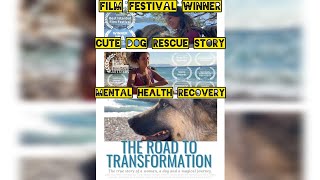 Cute Dog Rescue Story Film Festival Winner Mental Health Recovery Hope AdventureTravel [upl. by Oibesue560]