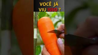 Ótima ideia para propagar um limoeiro por alporquia usando uma cenoura 🥕 limao cenoura shorts [upl. by Mohammad]