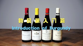 勃艮第产区入门介绍 Introduction of Burgundy [upl. by Divadnoj449]