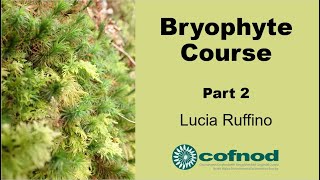 Bryophyte Course Part 2 [upl. by Mashe98]