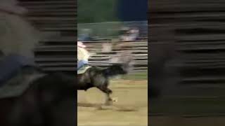 Clearwater MN pro rodeo  PRCAWPRA [upl. by Rickard226]