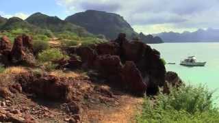 Villa Del Palmar at the Islands of Loreto Hike [upl. by Bethina]