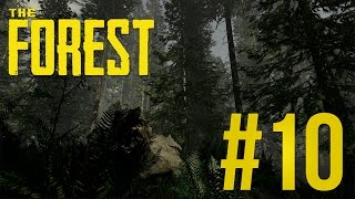 The Forest  Prozkoumáváme les  w GEJMR 10 [upl. by Yelyak267]