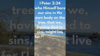 VERSE OF THE DAY  DIE TO SIN AND LIVE TO RIGHTEOUSNESS  1 PETER 224 christianfaith [upl. by Eiggep]