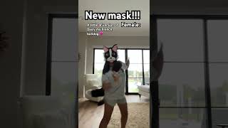 She’s so cute ☺️ newmask frenchbulldog cute furry therian christian doglover antizoo [upl. by English348]