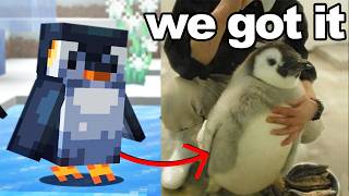 I Got My Brother His Minecraft Penguin in Real Life [upl. by Deidre880]