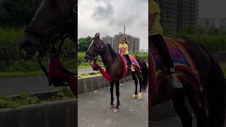 Dhruhi Horse 🐎 Riding  horse horses ghoda horseriding horselover ytvideo shortsfeed dhruhi [upl. by Oiram]