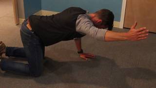 Postural Exercises  Quadruped Ys and Ts [upl. by Eliason396]